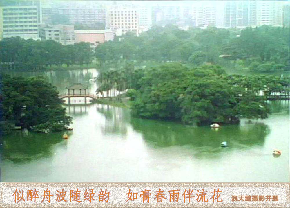 春雨流花湖.jpg