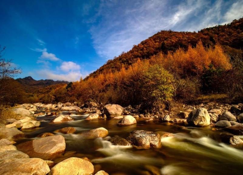 ss2.meipian (9)_edit_194439892057434.jpg