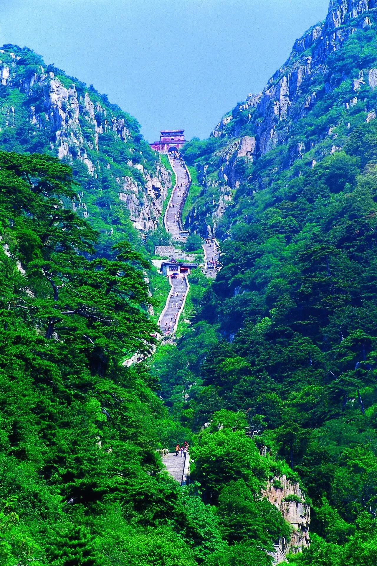 ss2.meipian (9).webp