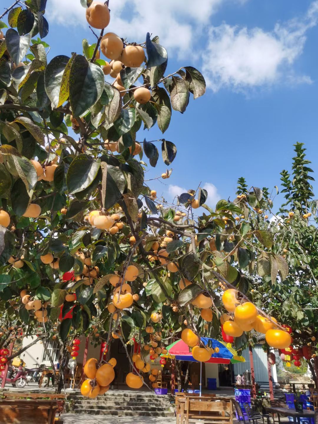 image_1792080604186.jpg